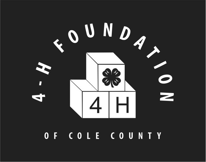 4H Logo